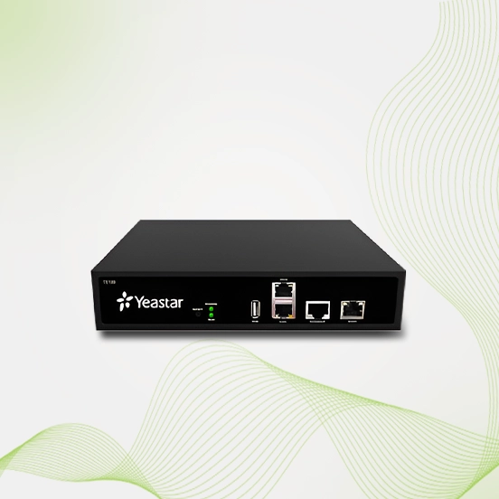 Yeastar TE100 PRI Gateway